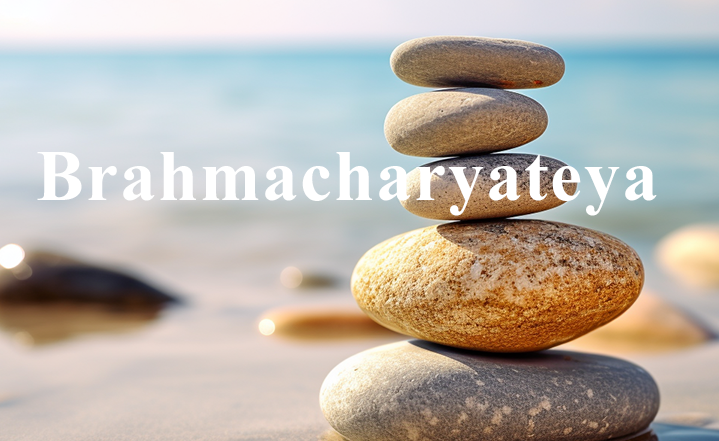 How to incorporate the fourth Yamas Brahmacharya (restraint) into your life.